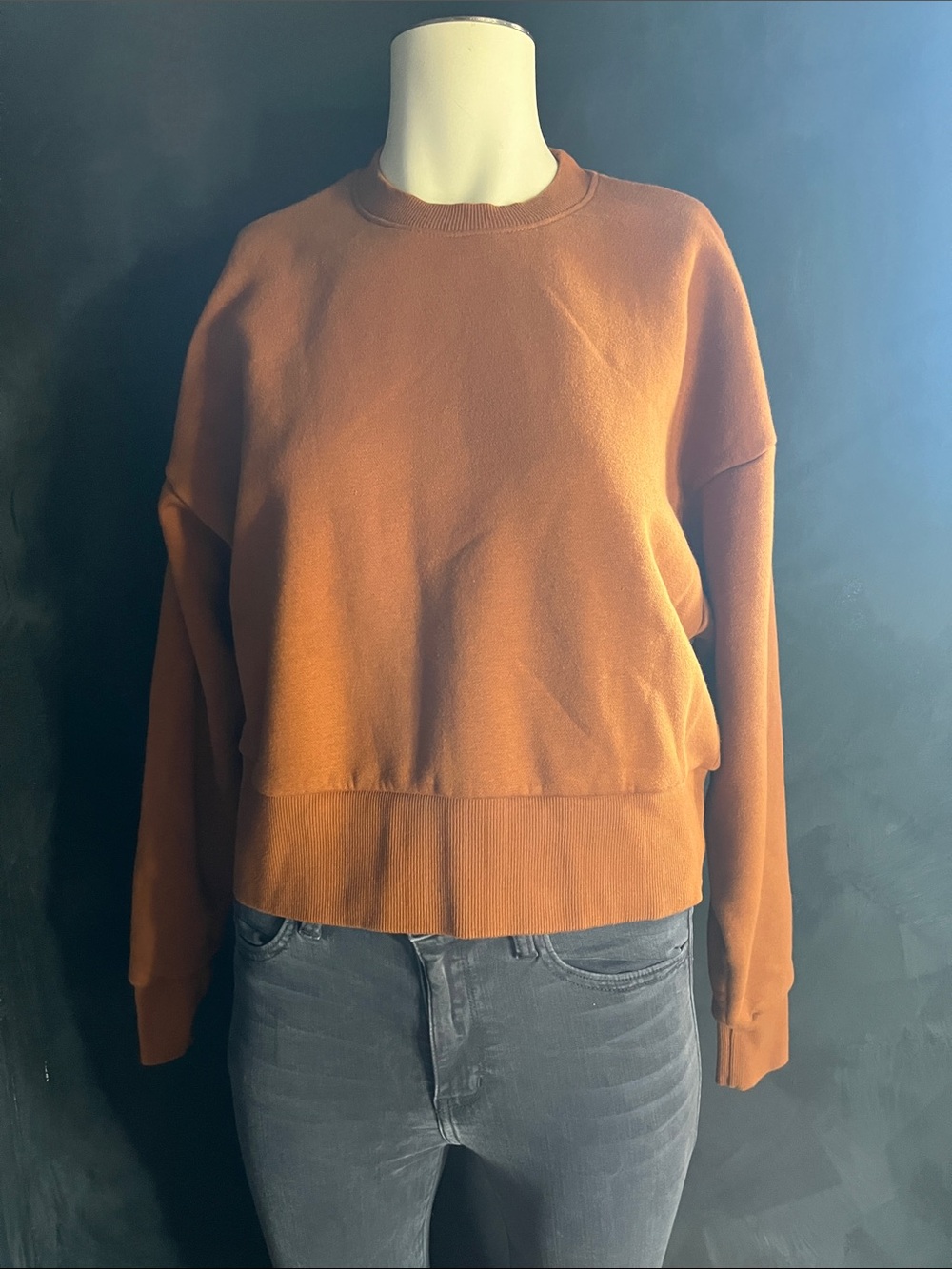 Next Level Apparel Women's Crewneck Sweater in Burnt Orange